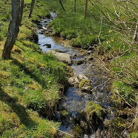 Am Alten Fachwerk *